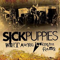 Sick Puppies – What Are You Looking For [Radio Mix]