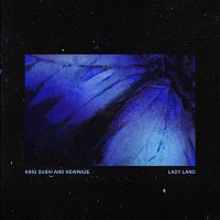 Přední strana obalu CD LADY LAND