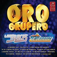 Los Bukis, Los Temerarios – Oro Grupero