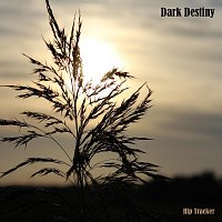 Hip Tracker – Dark Destiny
