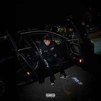 Přední strana obalu CD Vettel