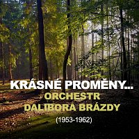 Smyčcový orchestr Dalibora Brázdy – Krásné proměny...
