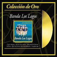 Přední strana obalu CD Coleccion de Oro