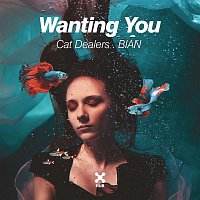 Cat Dealers, BIAN – Wanting You