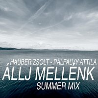 Hauber Zsolt, Pálfalvy Attila – Állj mellénk (Summer Mix)