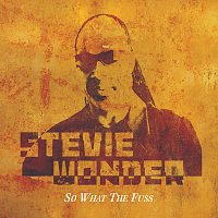 Stevie Wonder – So What The Fuss