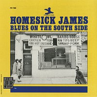 Homesick James – Blues On The South Side