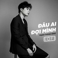 Trinh Thang Binh – Đau Ai Đ?i Minh