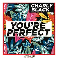 Charly Black – You're Perfect