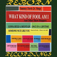 Přední strana obalu CD What Kind Of Fool Am I (HD Remastered)