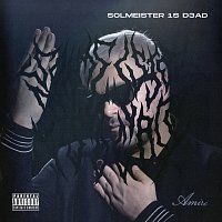 Solmeister – SOLMEISTER 1S D3AD