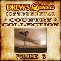 The Hit Crew – Drew's Famous Instrumental Country Collection, Vol. 8