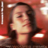 Ericka Jane – Strangers In The Night [Few Wolves Remix]