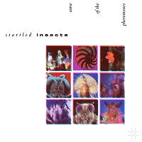 Startled Insects – Curse Of The Pheromones