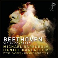 Michael Barenboim, West-Eastern Divan Orchestra, Daniel Barenboim – Beethoven: Violin Concerto