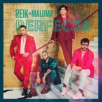 Reik & Maluma – Perfecta