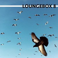 Loungebox – Loungebox 8