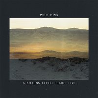 Wild Pink – A Billion Little Lights [Live]