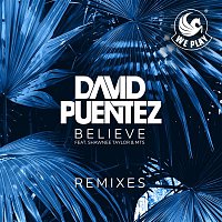 David Puentez – Believe (feat. Shawnee Taylor & MTS) [Remixes]