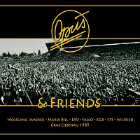 Opus & Friends – Graz Liebenau 1985