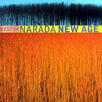 Přední strana obalu CD Best Of Narada New Age