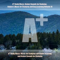 A+ Study Music: Music for Studying and Better Learning and Nature Sounds for Studying – A+ Study Music: Nature Sounds for Studying - Nature's Music for Studying and Easy Learning, Vol. 14