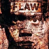 Flaw – Through The Eyes