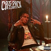 AJ Tracey – Cat Pack