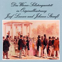 Wiener Solistenorchester – Das Wiener Solistenquartett in Originalbesetzung
