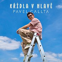 Pavel Callta – KŘÍDLA V HLAVĚ