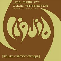 Jon O'Bir – Perfect As You Are (feat. Julie Harrington)