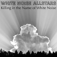 White Noise Allstars – Killing in the Name of White Noise