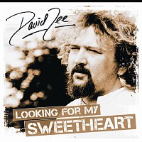 David Lee – Looking for my Sweetheart