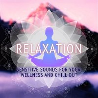 Various  Artists – Relaxation - Sensitive Sounds for Yoga, Wellness and Chill Out