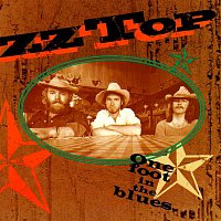 ZZ Top – One Foot In The Blues MP3
