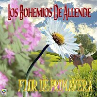 Los Bohemios de Allende – Flor De Primavera