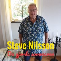 Steve Nilsson – Du gjorde sommaren