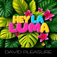 Přední strana obalu CD Hey La Luma