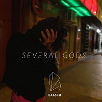 Baasch – Several Gods
