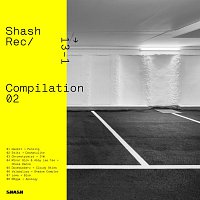 Různí interpreti – Shash Compilation 02