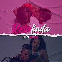 Přední strana obalu CD Rosalinda