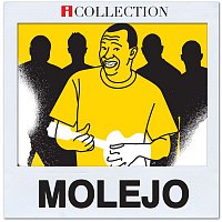 Molejo - iCollection