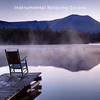 Různí interpreti – Instrumental Relaxing Covers