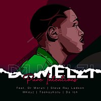 DJ Melzi, Dr Moruti, Steve Ray Ladson, Mkeyz, Teekay Kotu, Da Ish – Pure Intentions