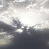 Přední strana obalu CD Dance Till (Heads Will Roll)