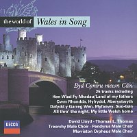 Přední strana obalu CD The World of Wales in Song