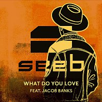 Seeb, Jacob Banks – What Do You Love