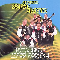 Ansambel bratov Avsenik – Muzikantje izpod Robleka