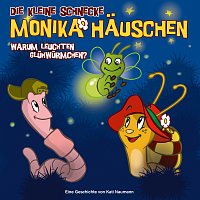 Die kleine Schnecke Monika Hauschen – 03: Warum leuchten Gluhwurmchen?