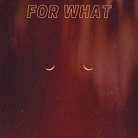 Přední strana obalu CD For What